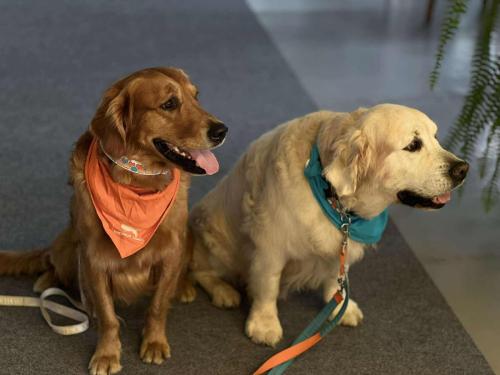 552556568 756872687170494 5870226591520560929 n