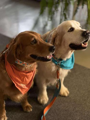 552645020 698891825828005 4739868080975536651 n